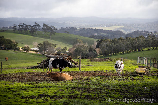 Hahndorf Farm Barn