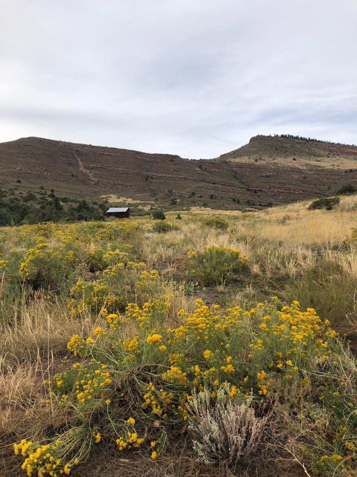 Hall Ranch Open Space