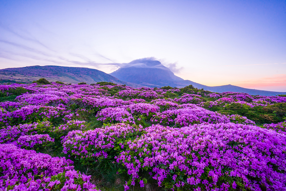 Hallasan National Park