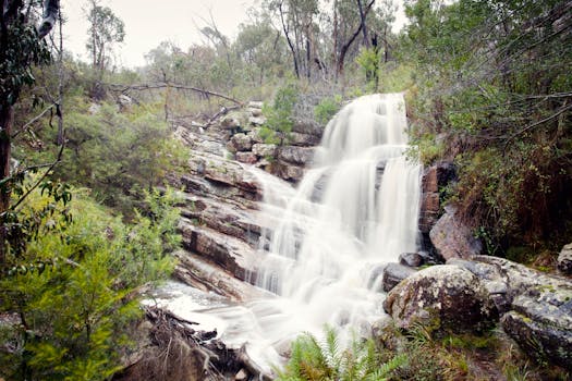 Halls Gap Zoo