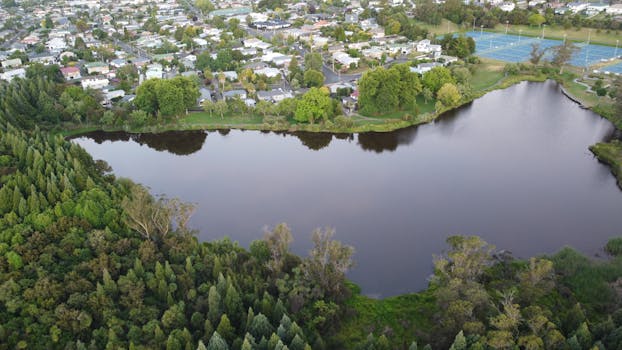 Hamilton Lake Domain