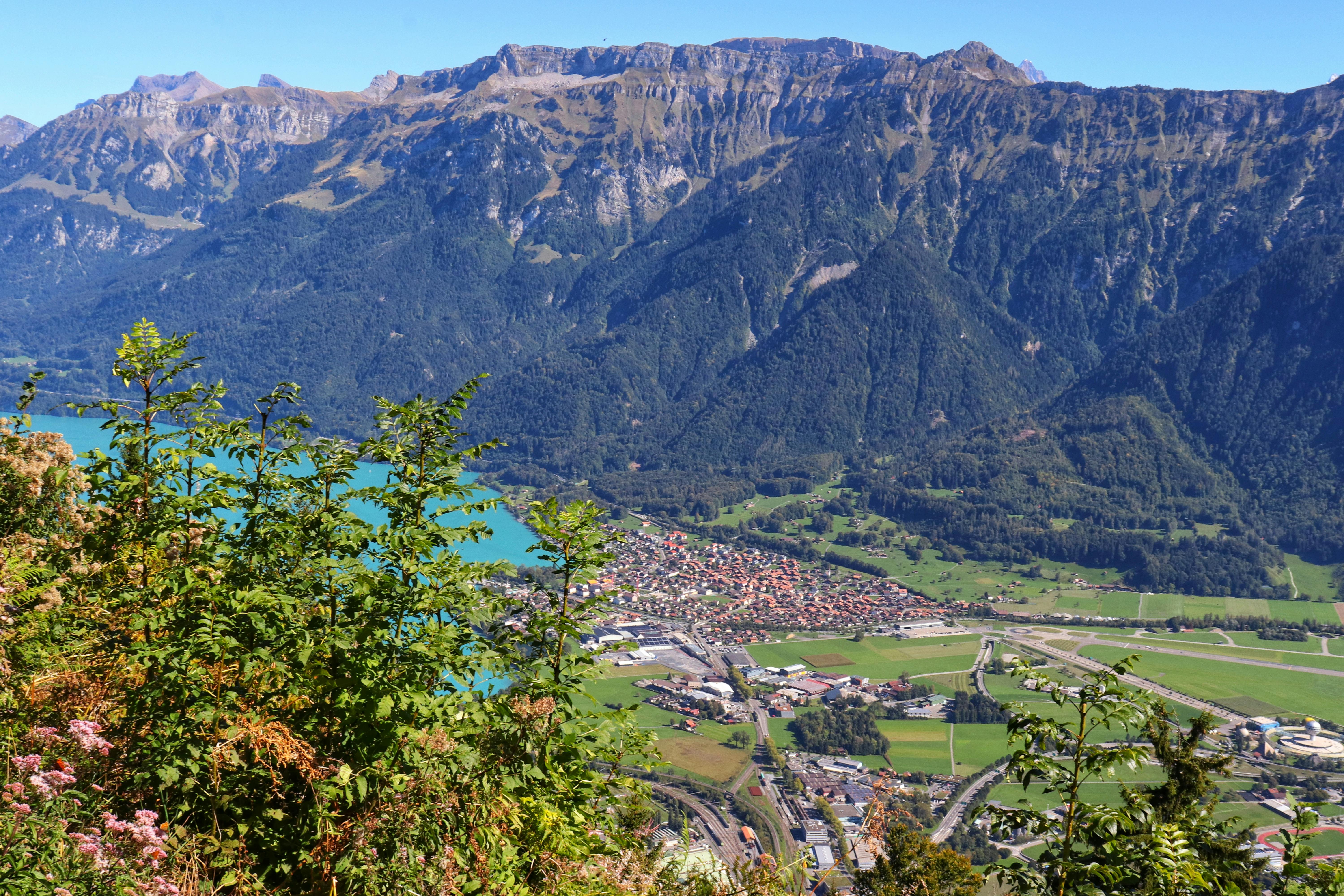 Harder Kulm viewpoint