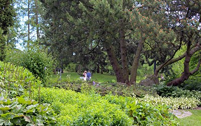 Hatanpää Arboretum