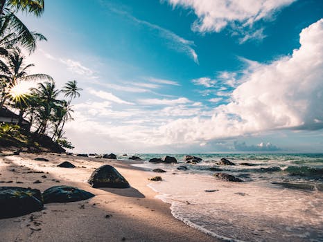 Haulover Beach