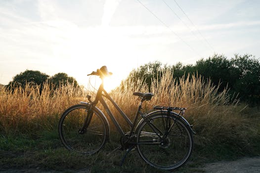 Havel Cycle Path