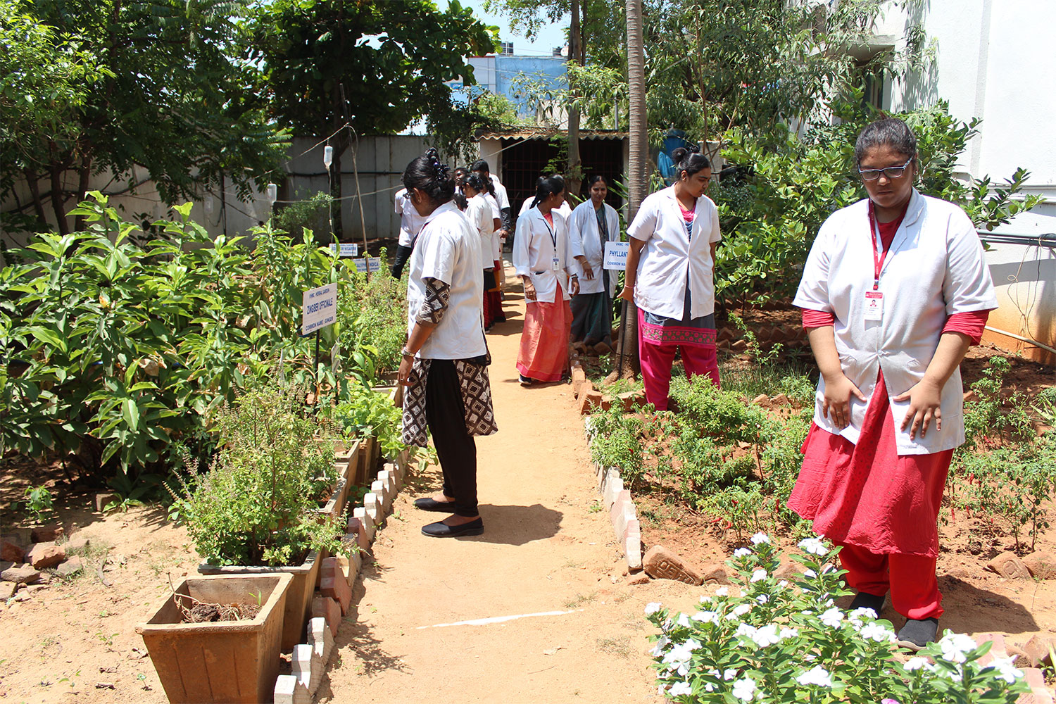 Herbal Garden Jhalawar