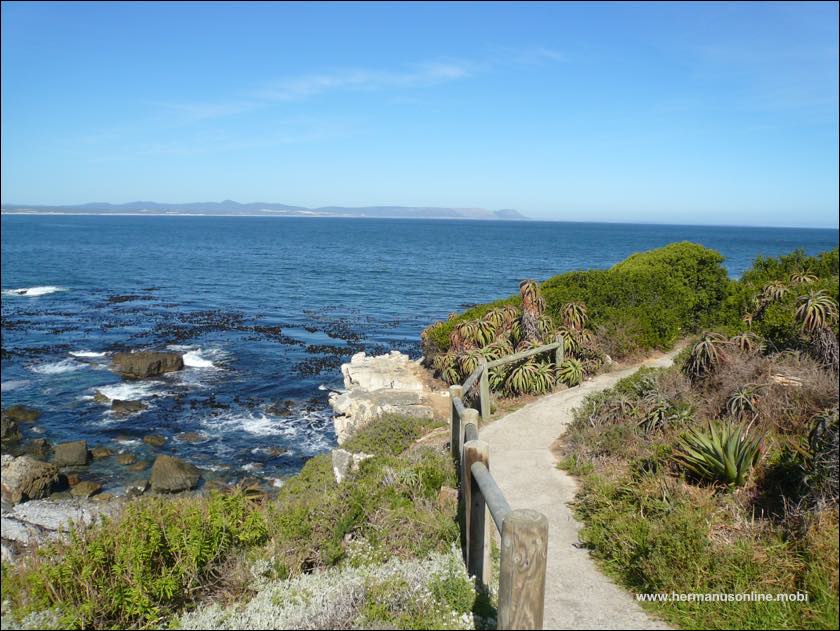 Hermanus Cliff Path