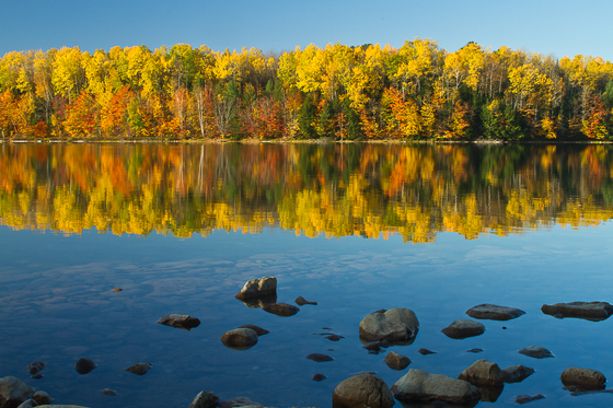 Hiawatha National Forest