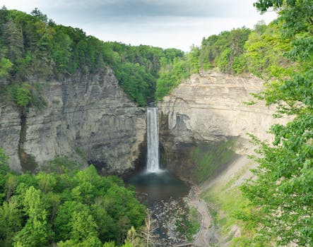 Hickory Nut Gorge Brewery