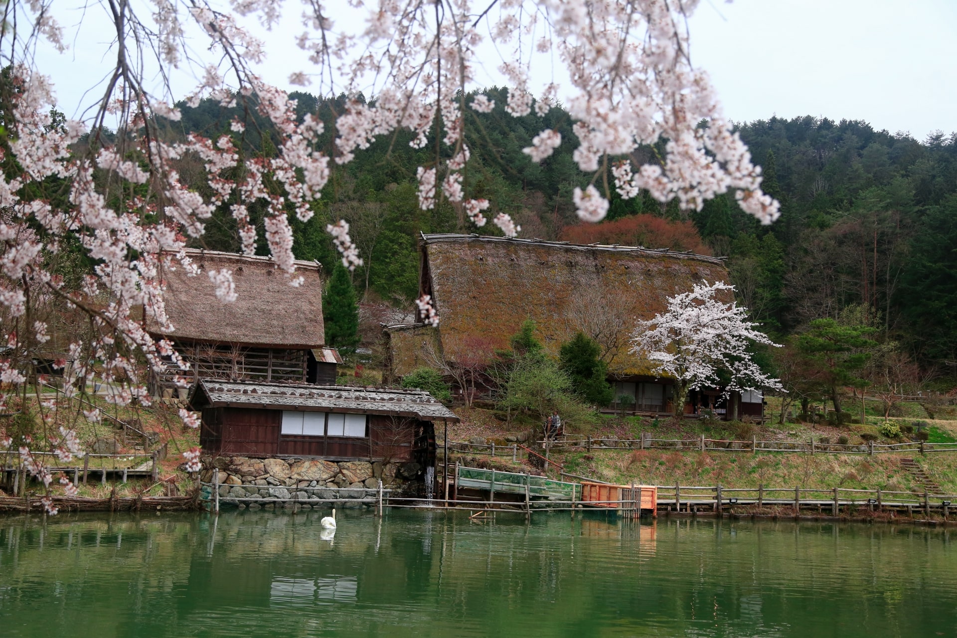 Hida Folk Village