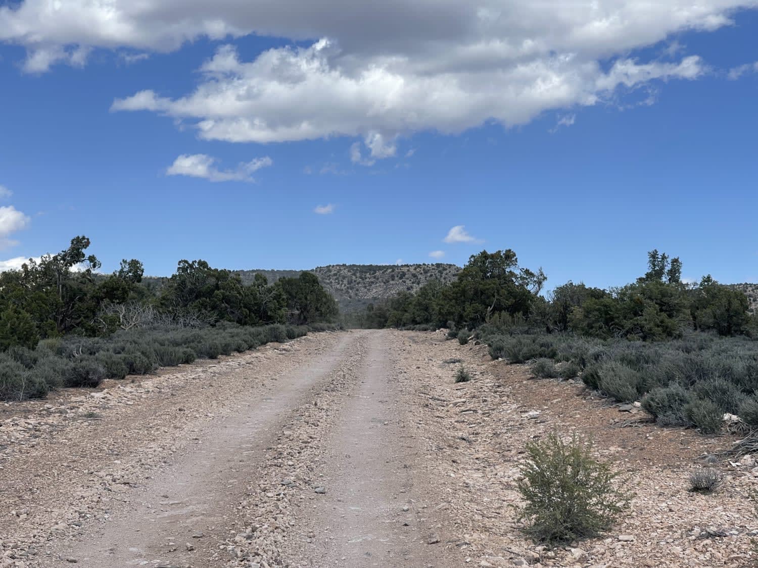 Hidden Valley Trail