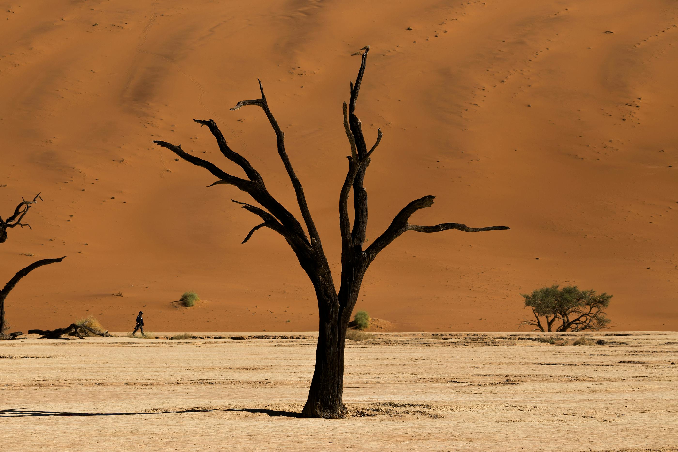 Hiddenvlei