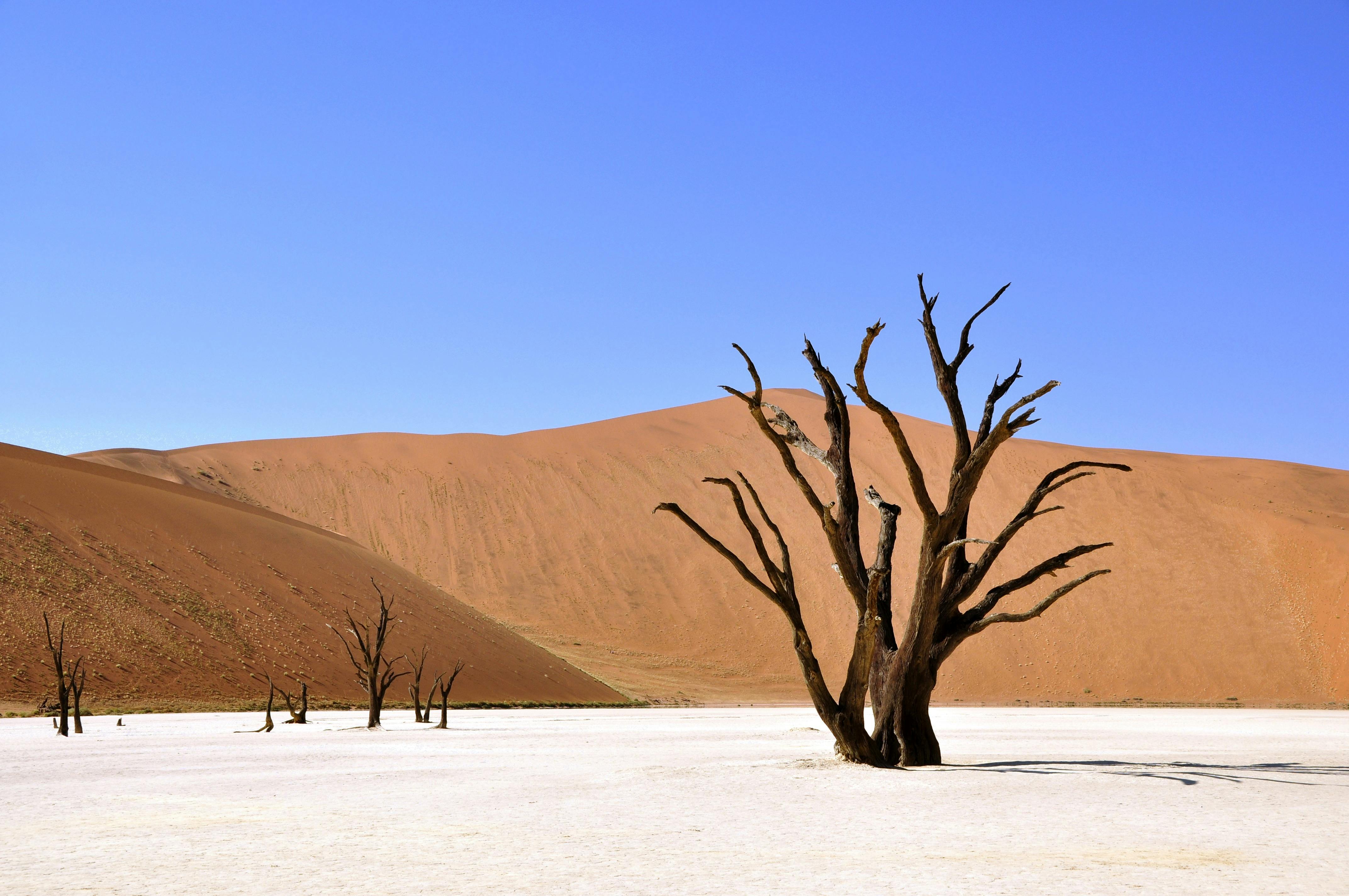 Hiddenvlei