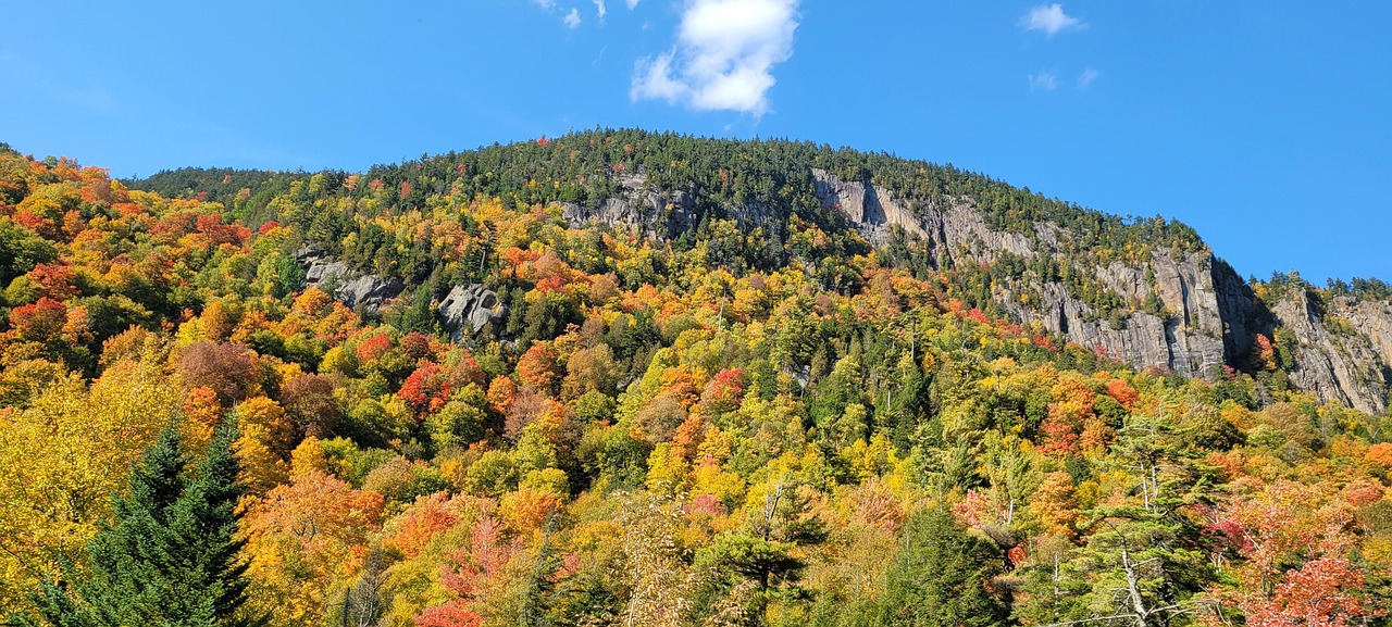 High Falls Gorge