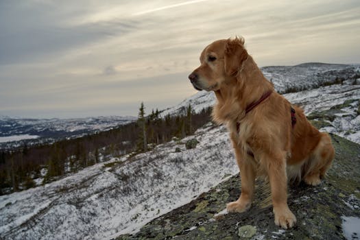 Hiking in the surrounding mountains