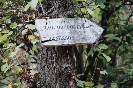 Hiking to Col de Roncevaux