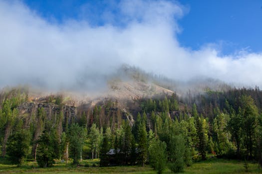 Hillside Environmental Education Park (HEEP)