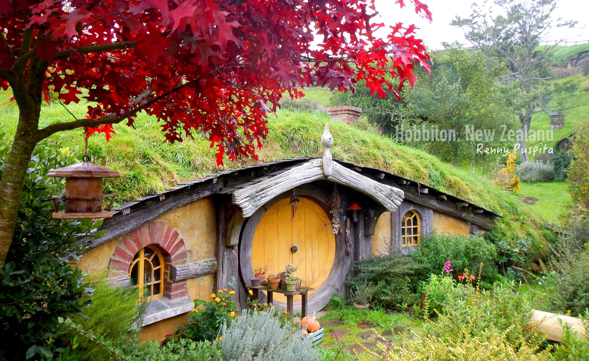 Hobbiton Movie Set