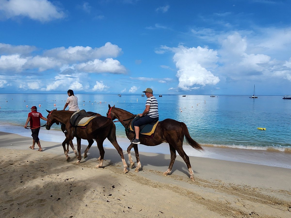 Holetown Beach