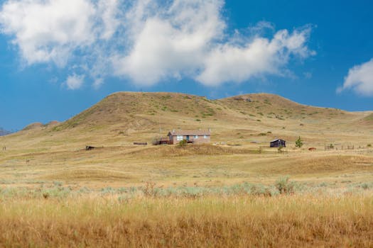 Homestead Crater