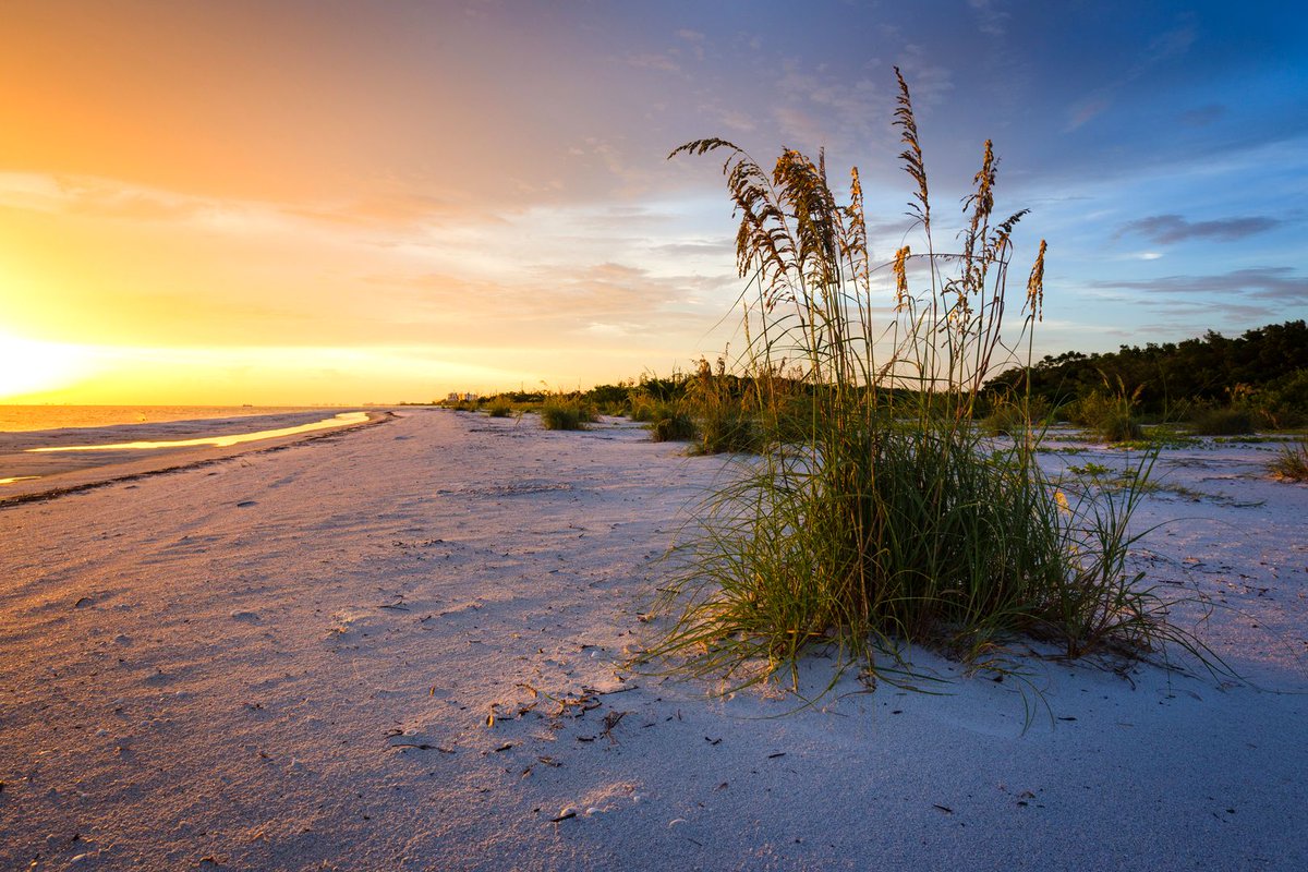 Honeymoon Island State Park