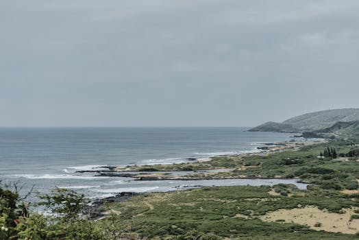 Hontoon Island State Park