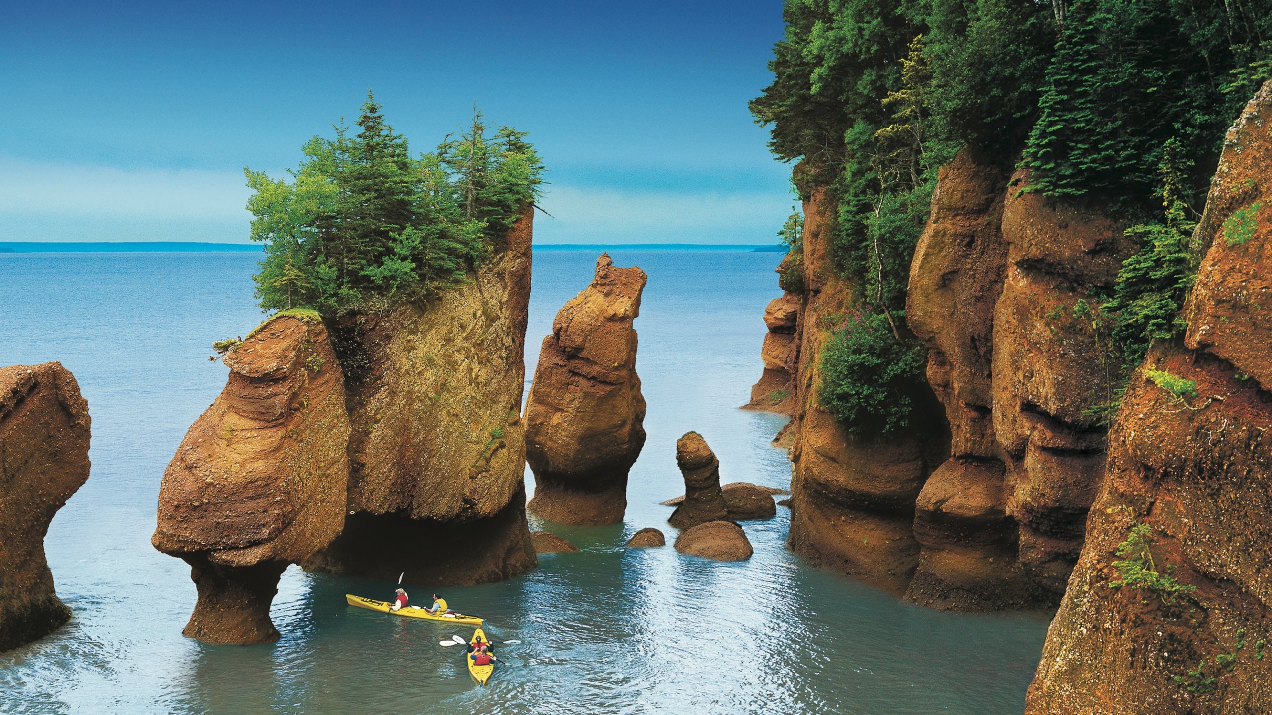 Hopewell Rocks