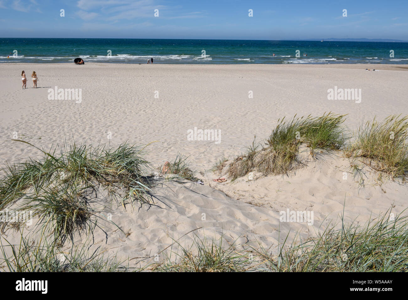 Hornbæk Beach