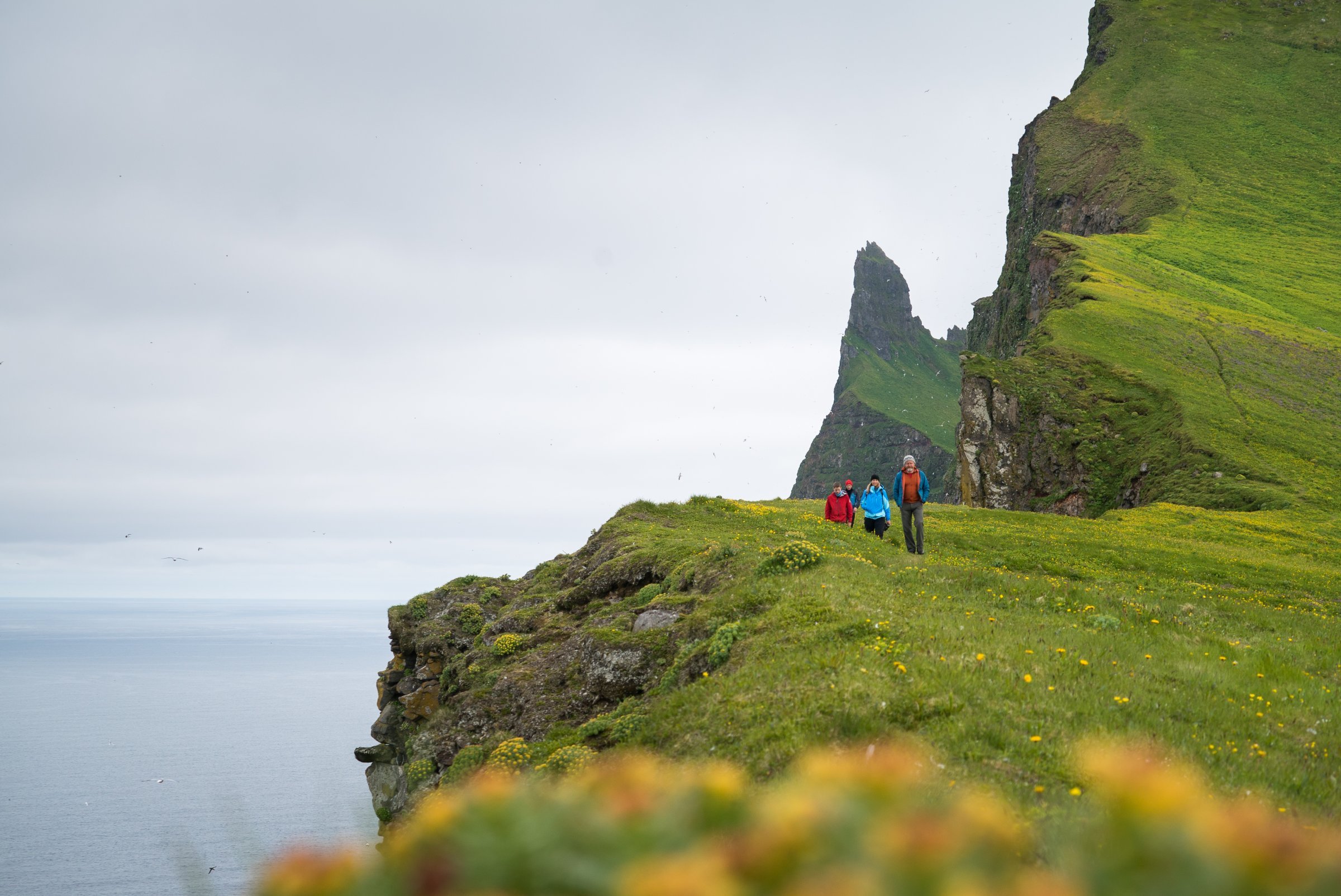 Hornstrandir Nature Reserve