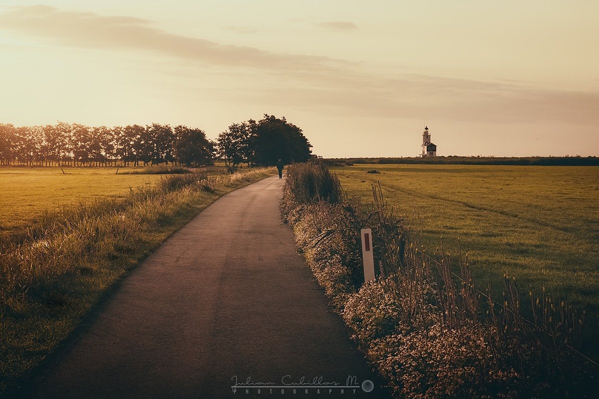 Horse of Marken