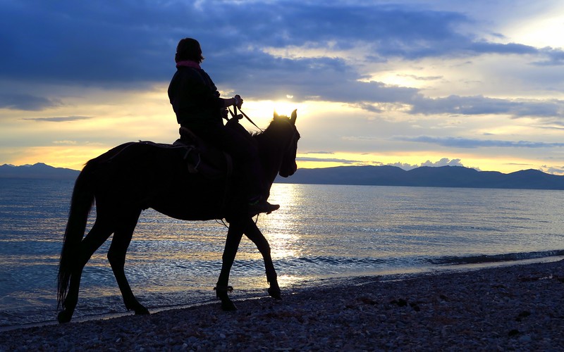 Horseback Riding