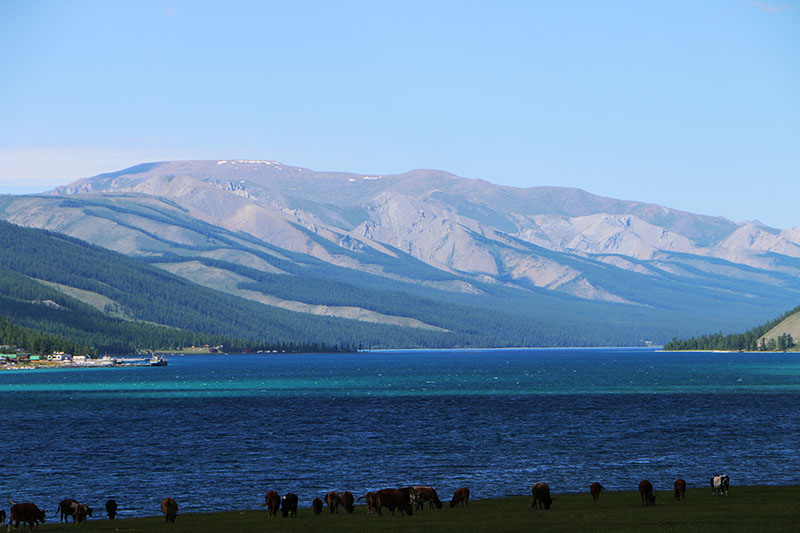 Horseback Tour & Sledding on Lake Khuvsgul