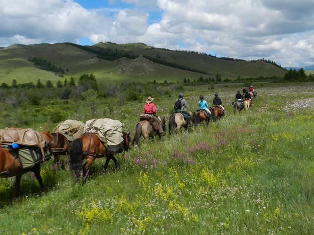 Horseback riding in the park