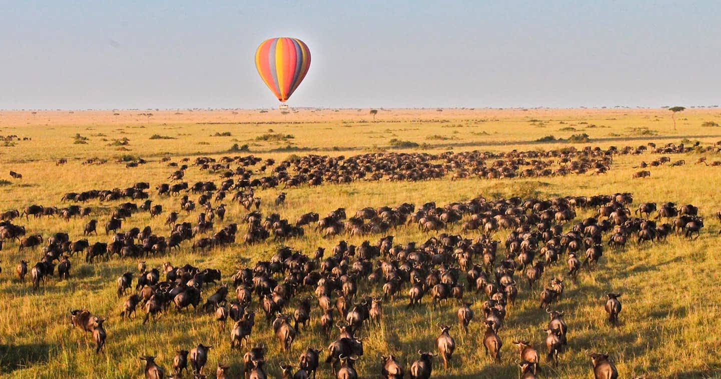 Hot Air Balloon Safari