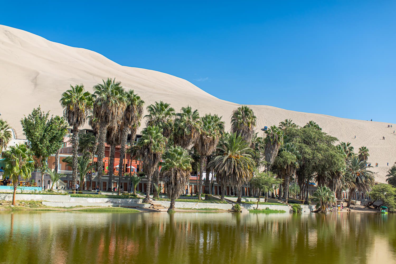 Huacachina Oasis