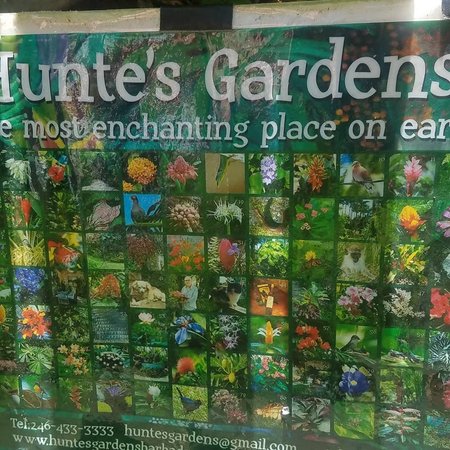 Hunte's Gardens