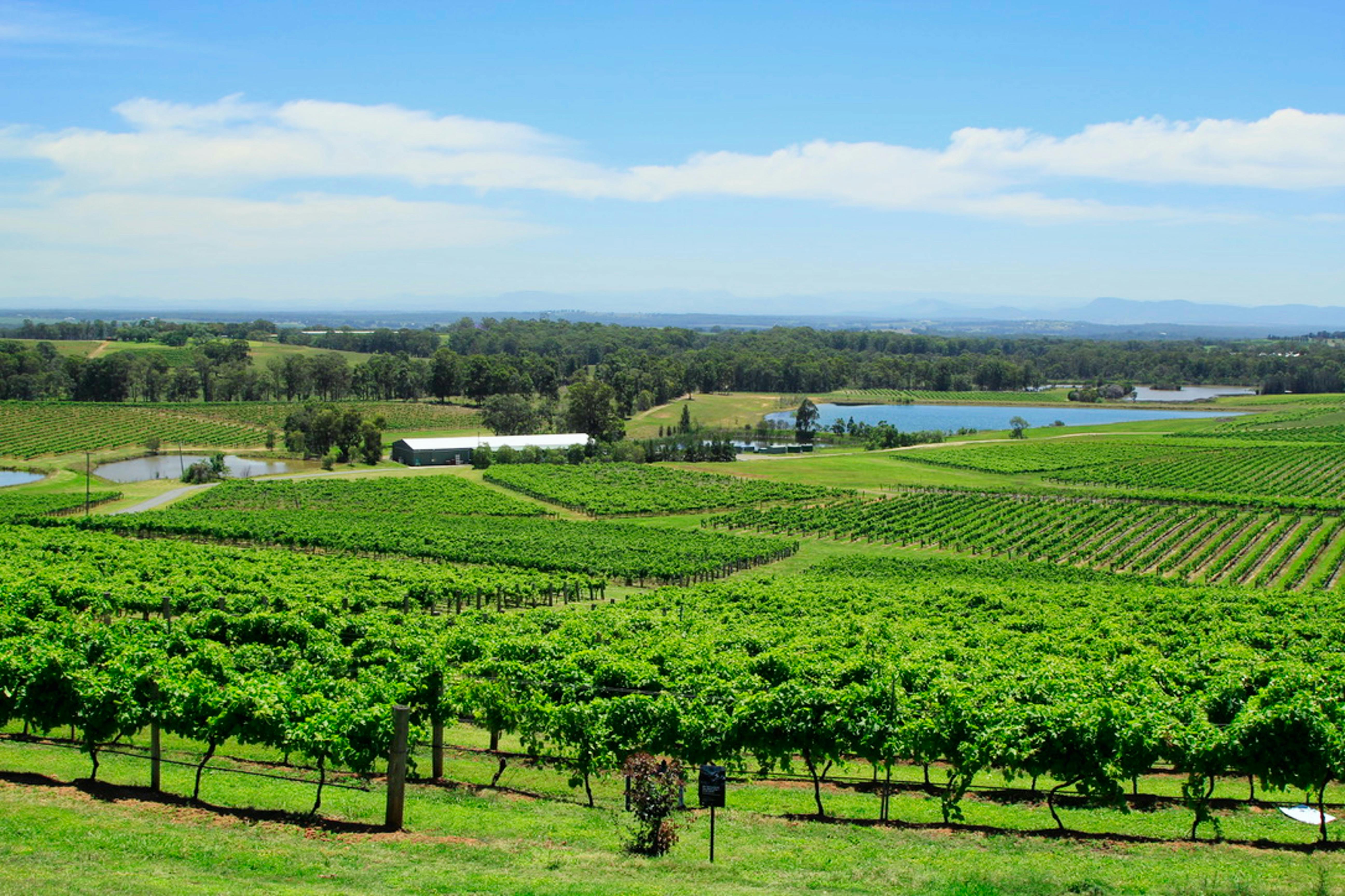 Hunter Valley Wine Region