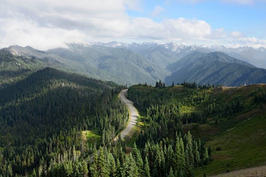 Hurricane Ridge