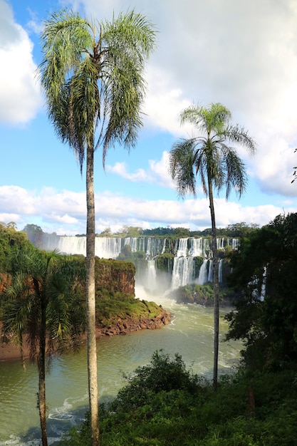 Iguazú Falls (Argentinian Side)