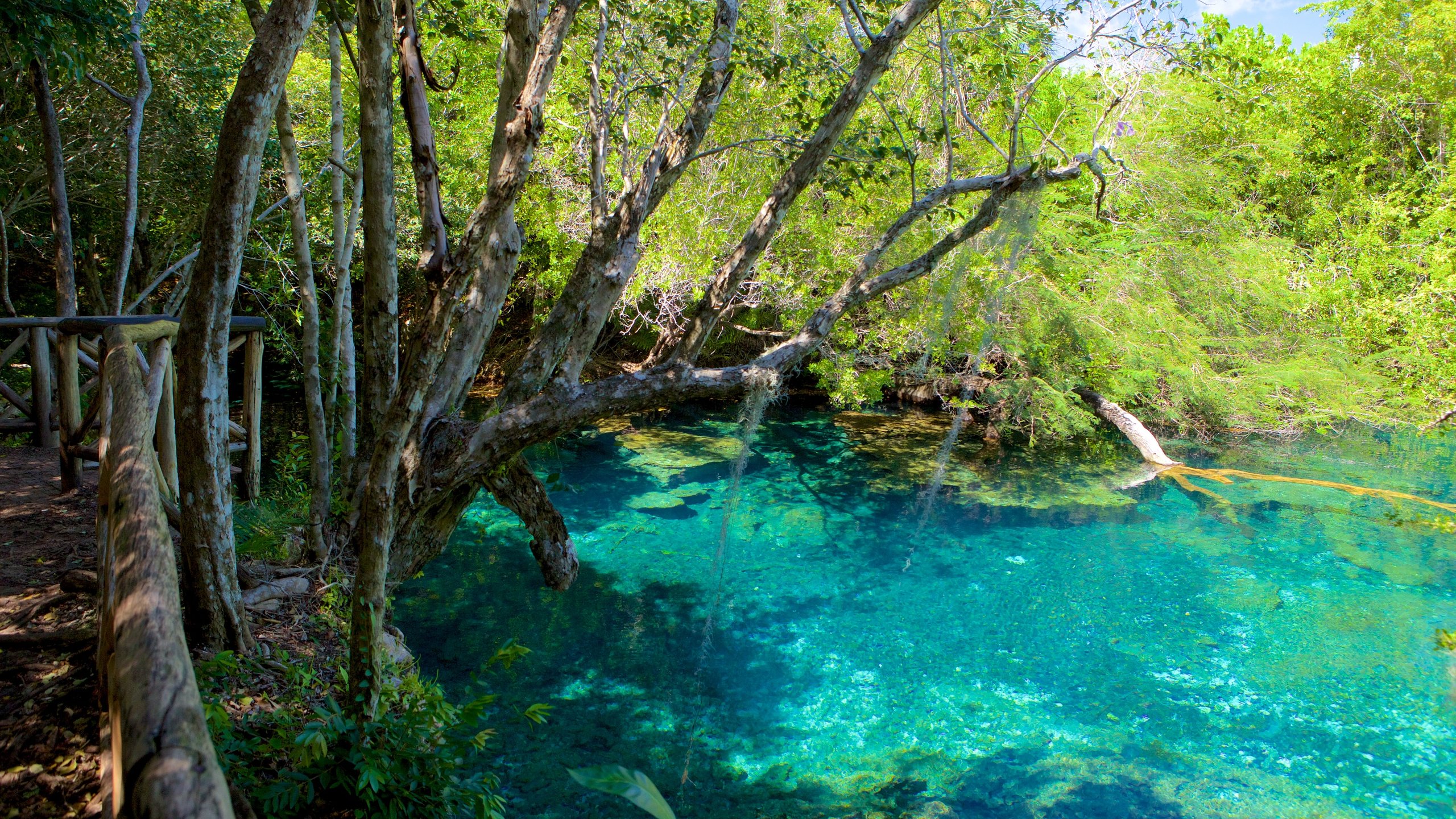 Indigenous Eyes Ecological Park