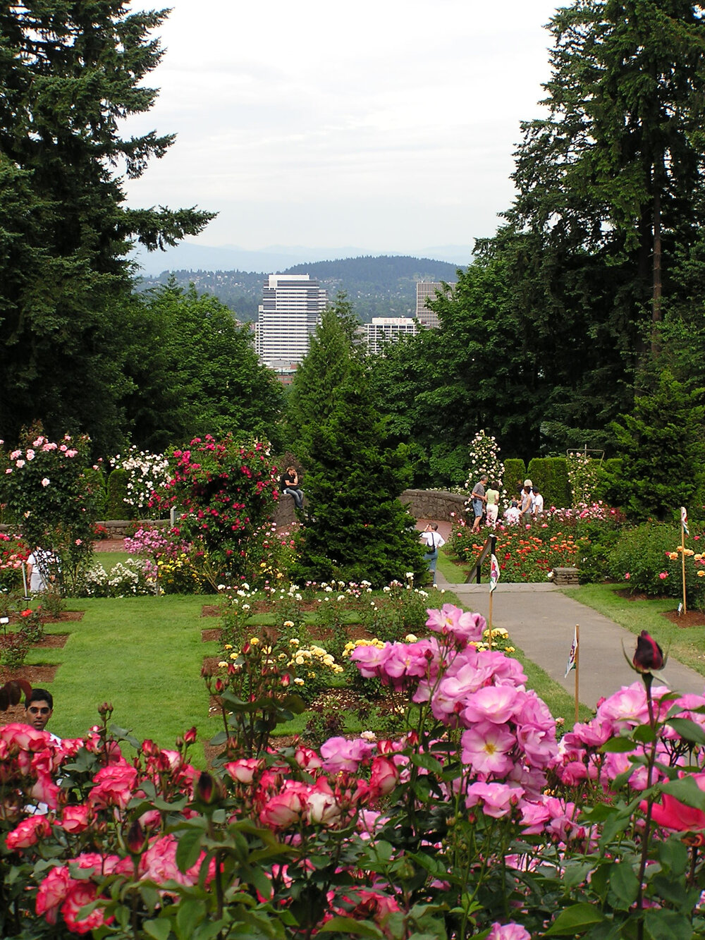 International Rose Test Garden