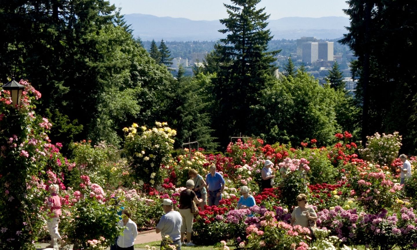 International Rose Test Garden