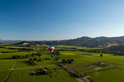 Ironstone Vineyards (nearby in Murphys)