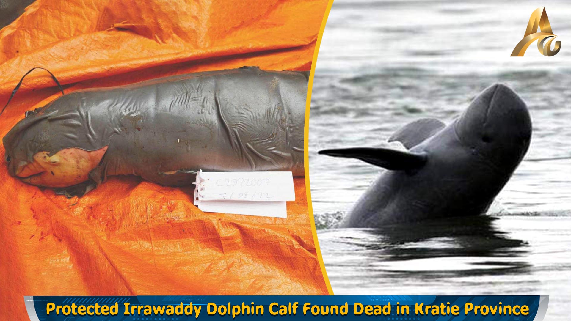 Irrawaddy Dolphin Conservation Area