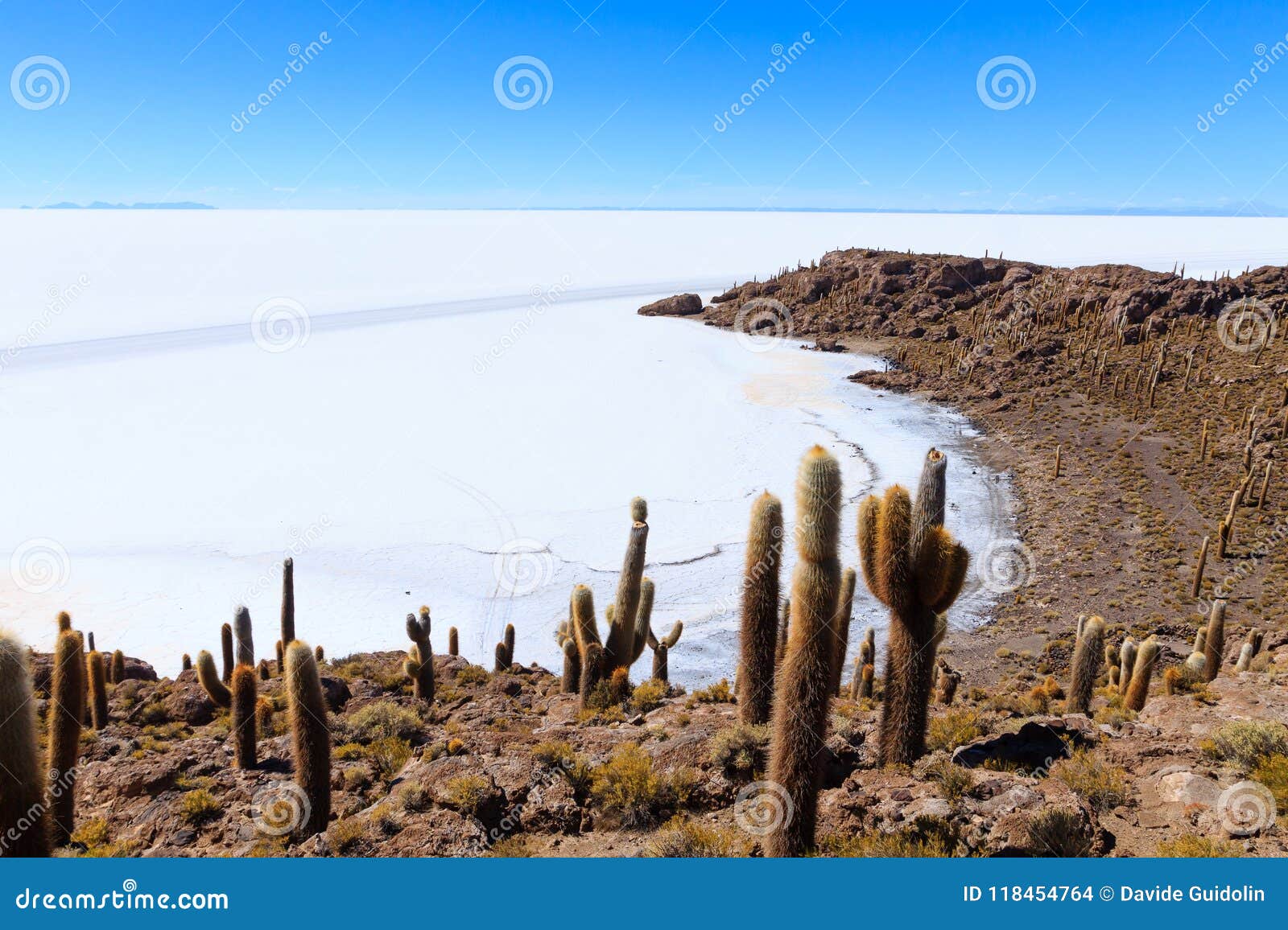 Isla Incahuasi