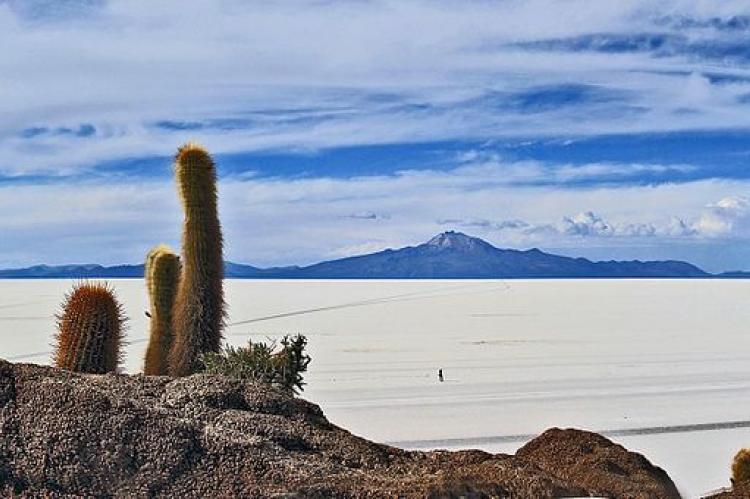 Isla Incahuasi (Isla del Pescado)