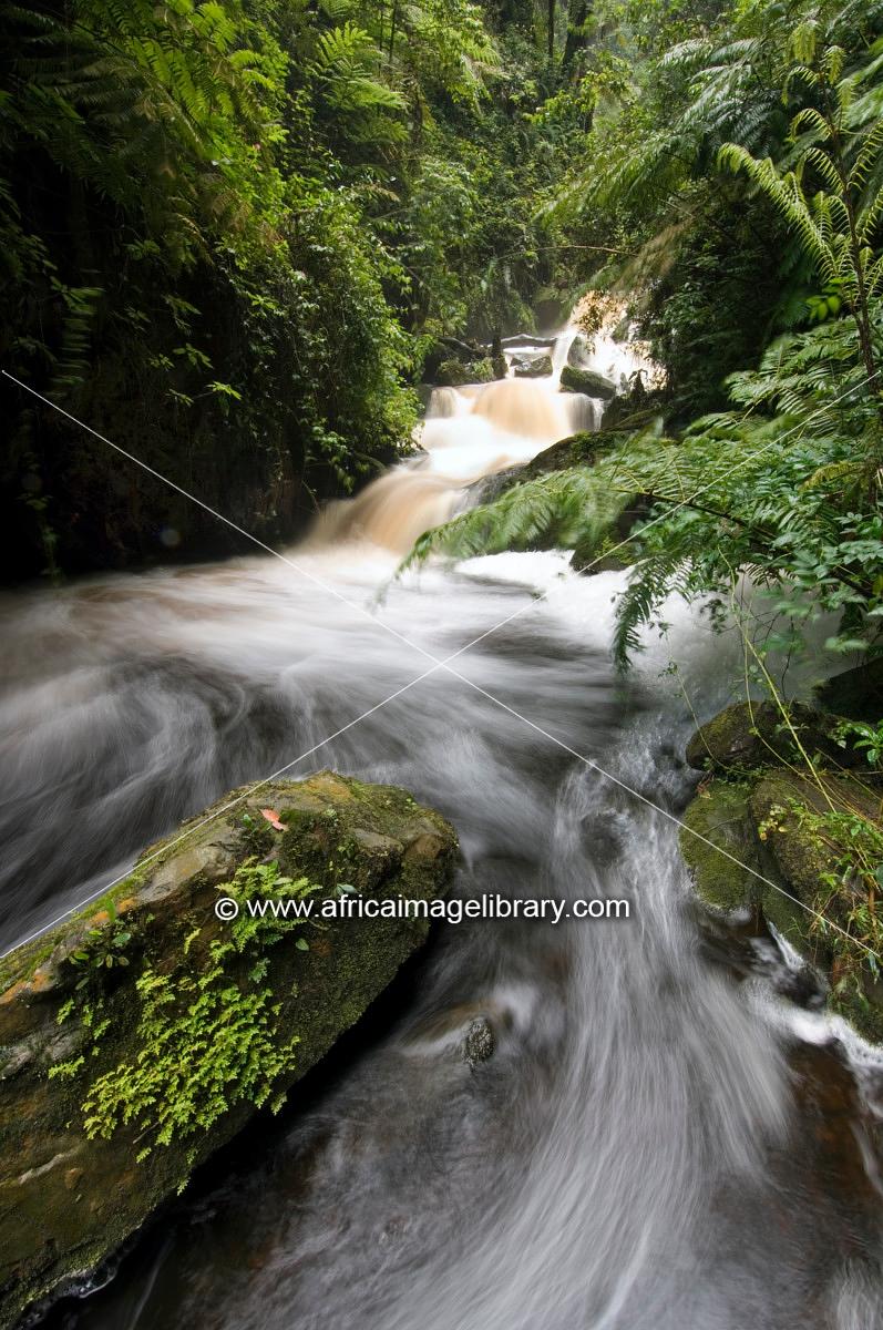 Isumo Trail