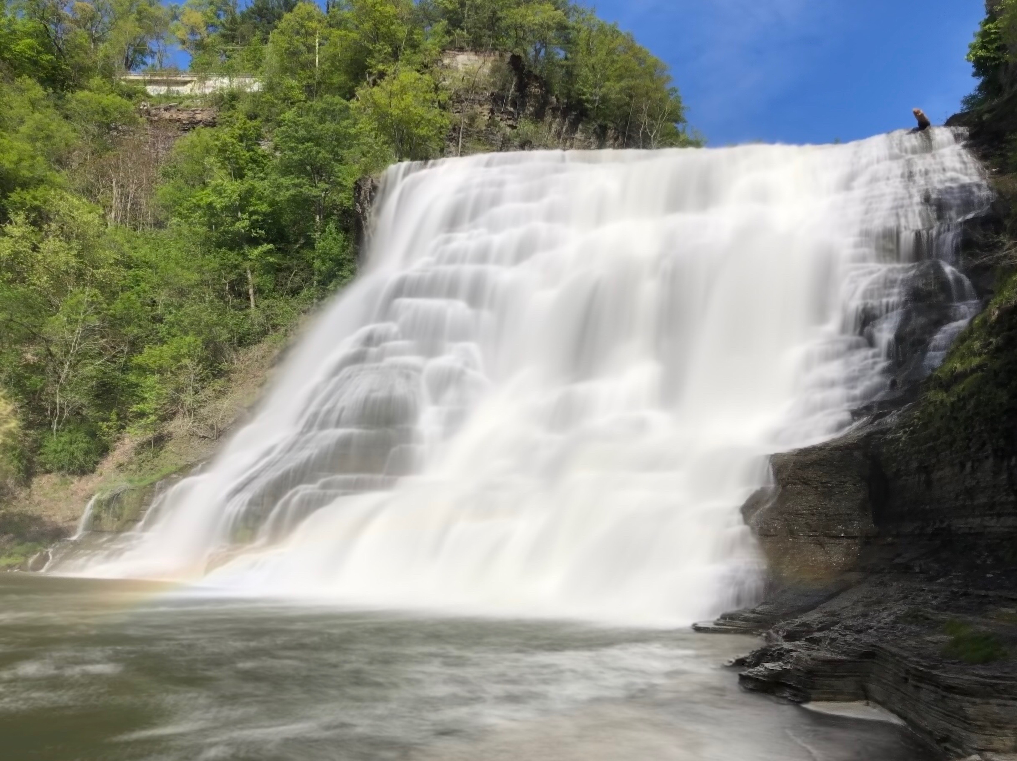 Ithaca Falls