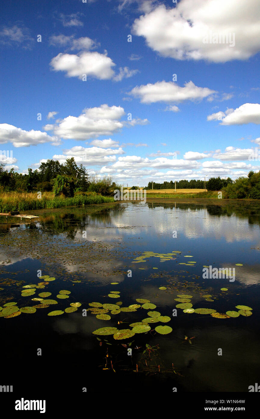 Jõgeva Manor