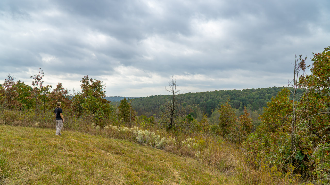 J.T. Nickel Family Nature and Wildlife Preserve